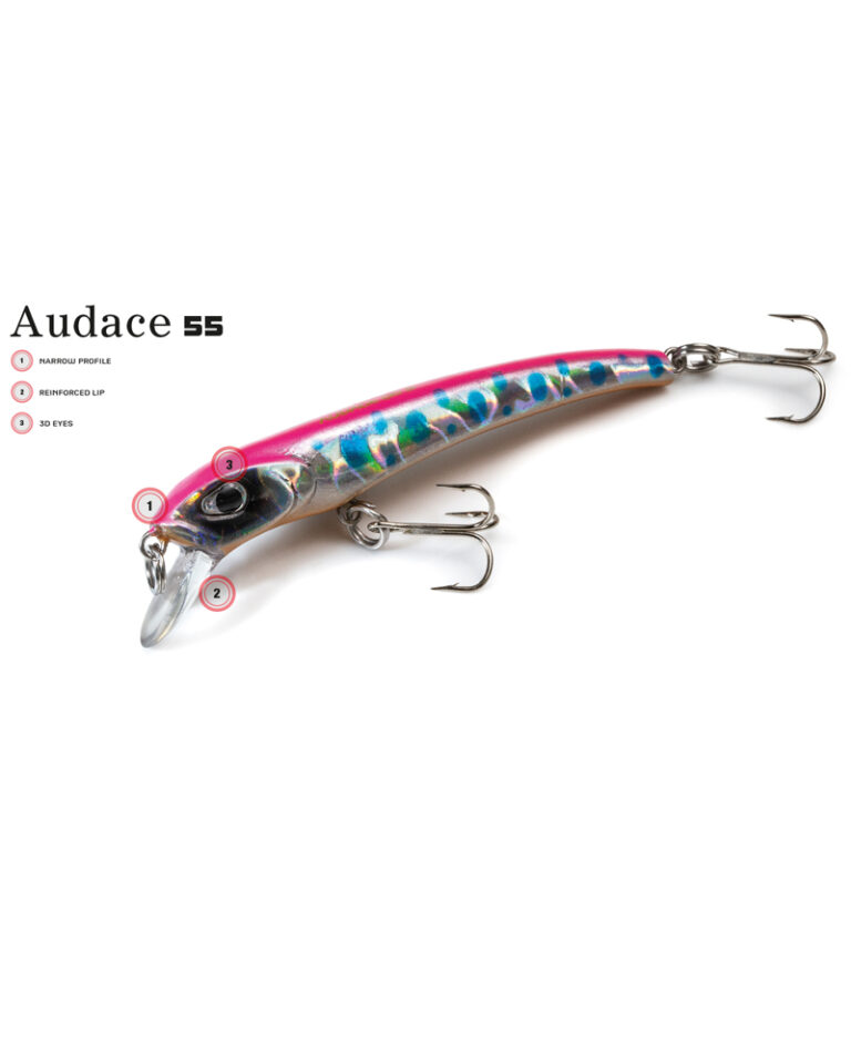MOLIX Audace 55 sinking