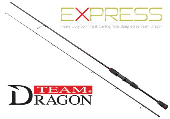 Dragon Express Spinn
