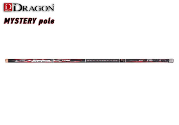 Dragon MYSTERY POLE