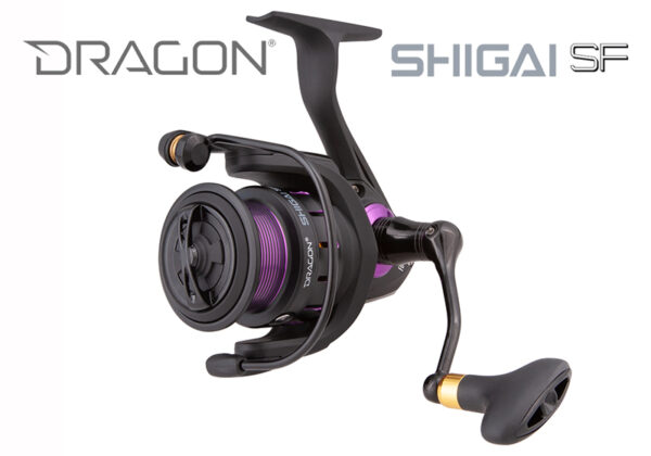 DRAGON SHIGAI SF FD