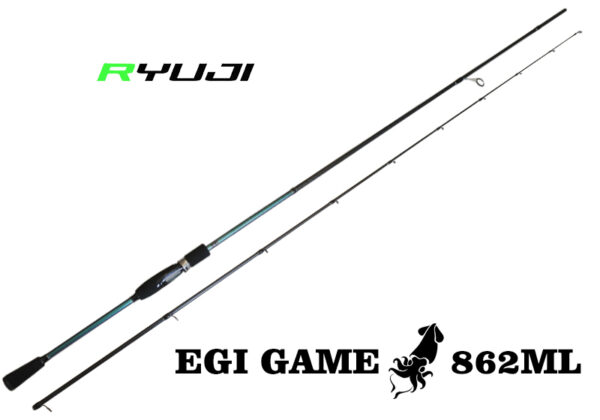 RYUJI EGI GAME 862ML Fuji 2,0-3,5 RYUJI EGI GAME 862ML Fuji 2,0-3,5
