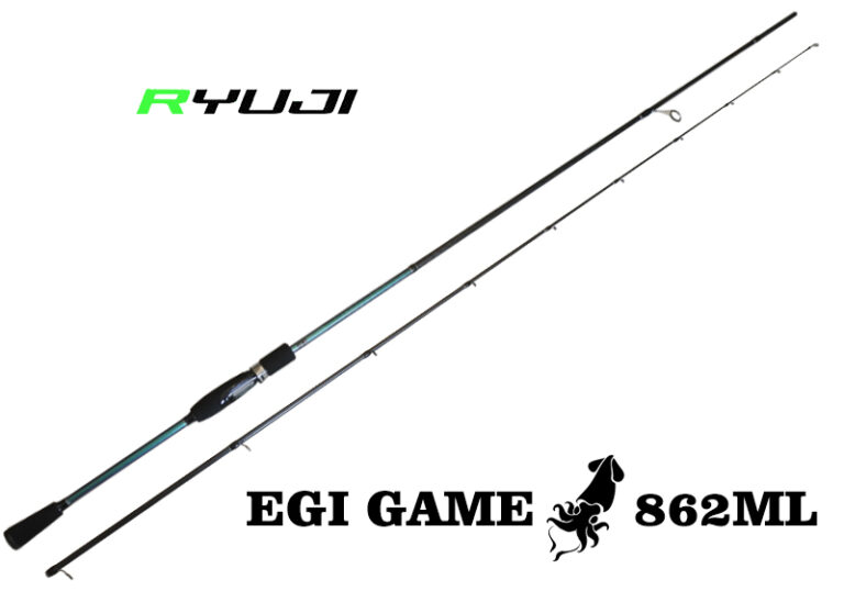 RYUJI EGI GAME 862ML Fuji 2,0-3,5
