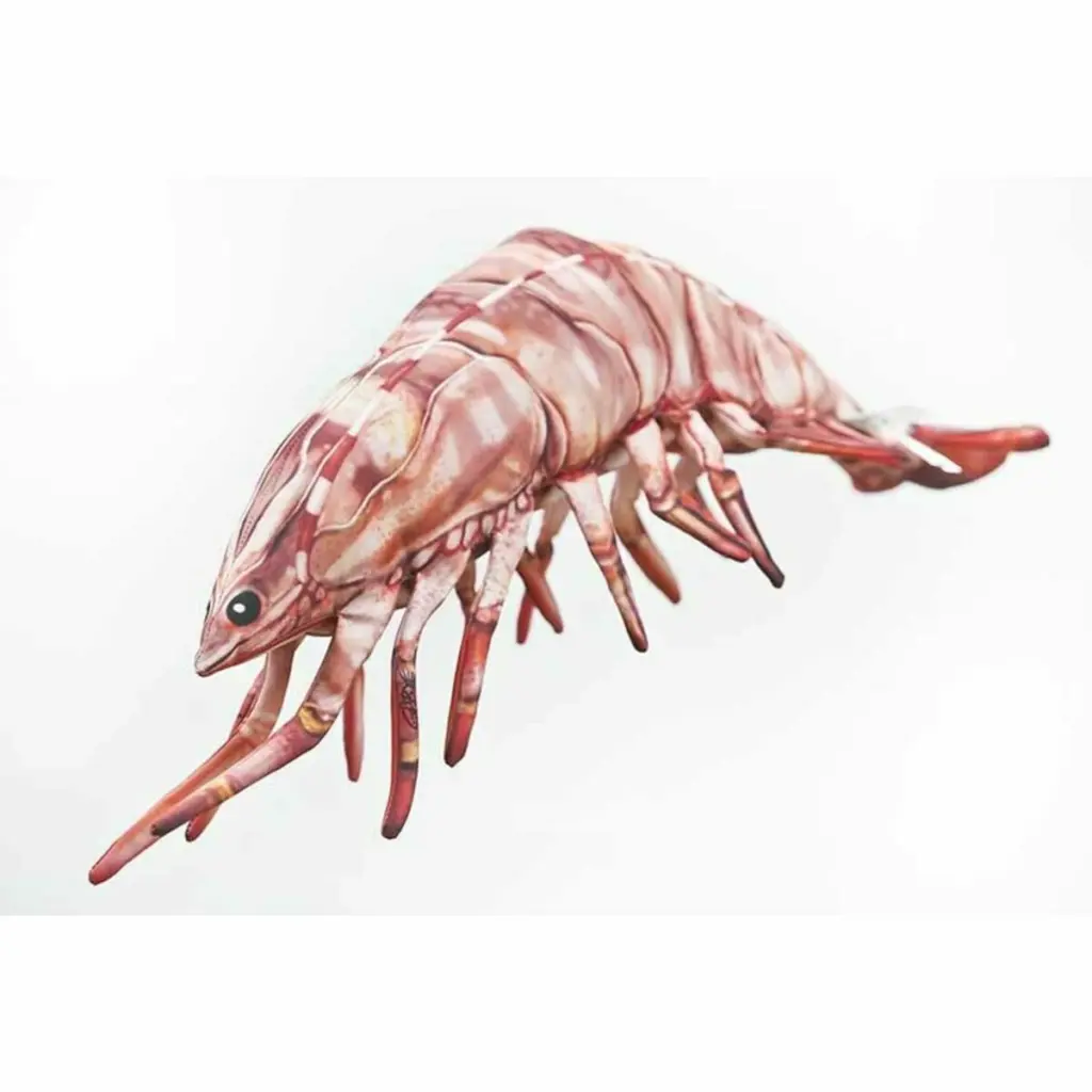 Γαρίδα μαξιλάρι Γαρίδα μαξιλάρι